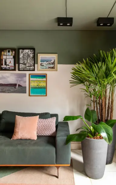 1 5 dicas para decorar parede verde com estilo